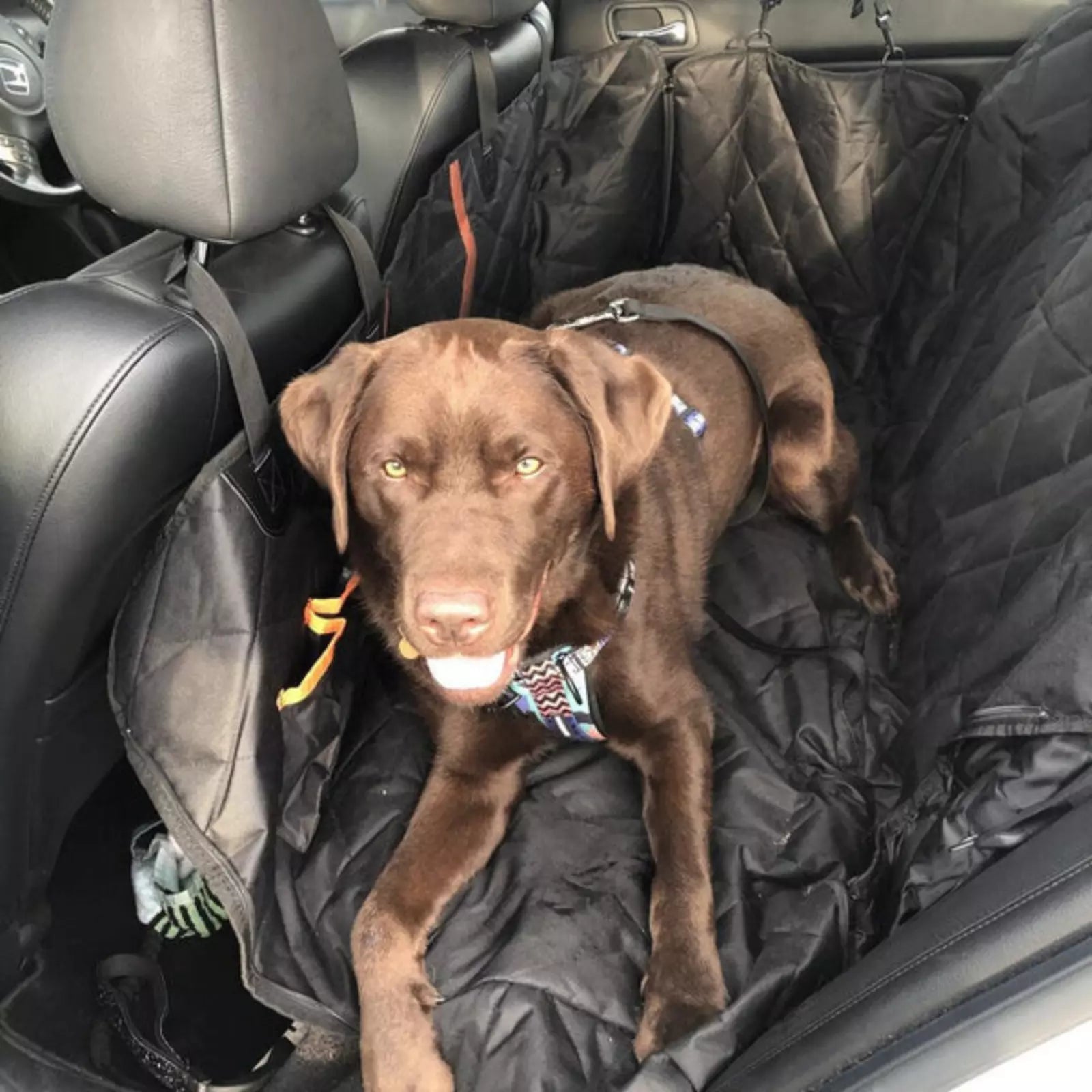 Dog Seat Cover for Back Seat